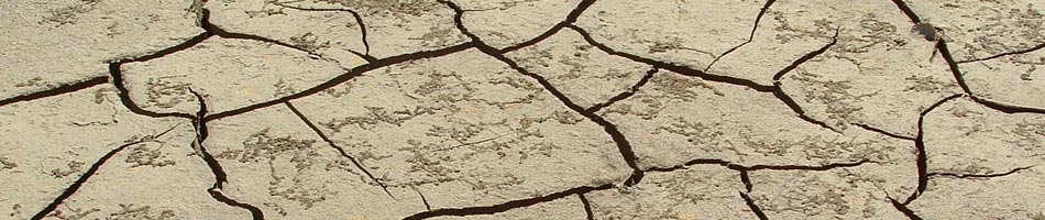 Hold on there, buckaroo. This is an error page!